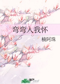 女人的bibi图片