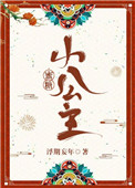 灰姑娘的故事3