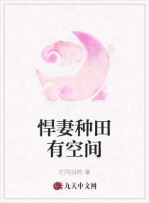 四大名捕小说