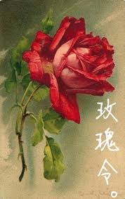 韩国女主播视频网站