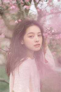 重生宠文耽美完结小说