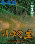 segou磁力链接