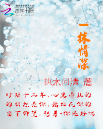 第七颗头骨
