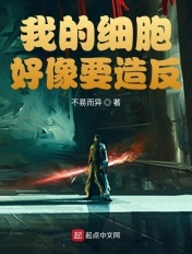 穿越好先生的小说