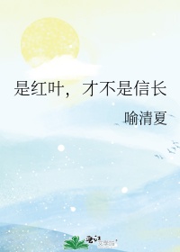钻杆