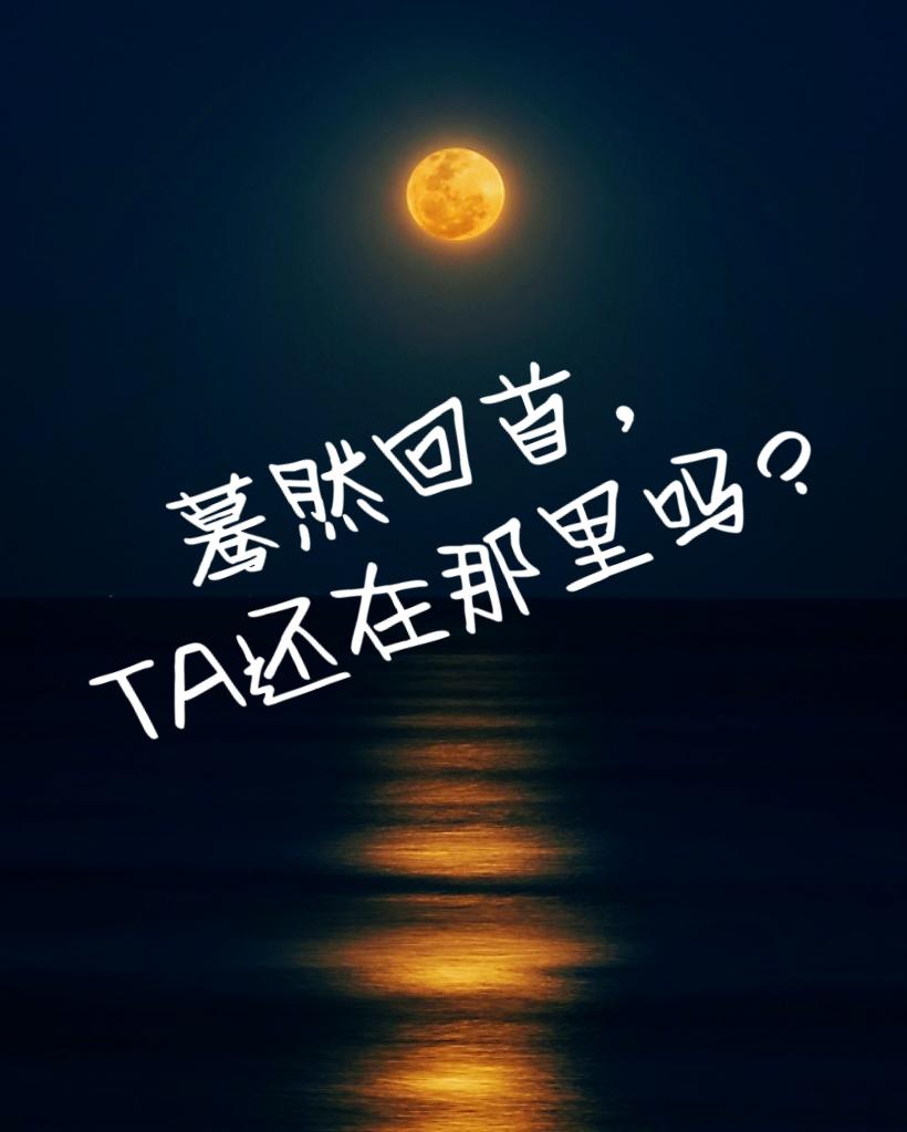 汤姆叔叔永久地域网名入口2