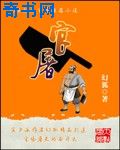 波波播放器