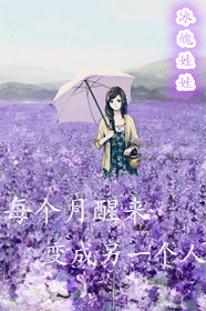 骑士导航