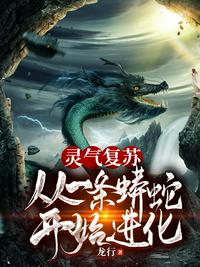 极品家教