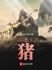 苏乞儿赵文卓版免费高清在线观看