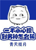 国产凌凌漆国语版