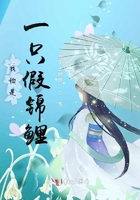 优酷弹幕按钮不见了