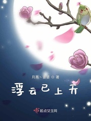 堵漏王