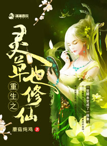 云上清欢东奔西顾txt