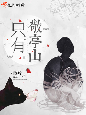 陈丽佳的灯 全套