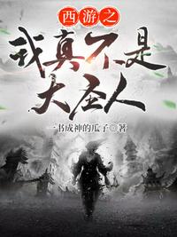 口袋妖怪火红攻略