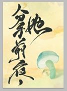 疯狂修道院