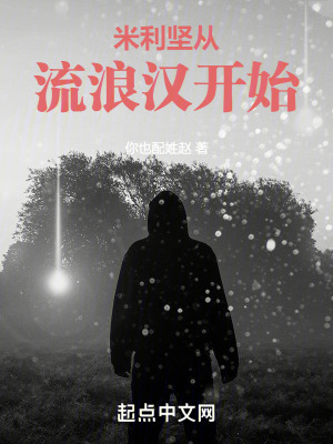 飞天红猪侠