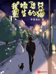 里库番acg火影忍者