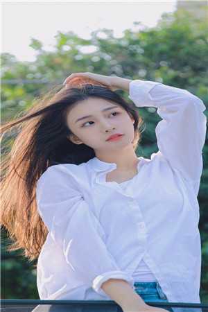 翠微居小说全集