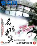 2024天天夜夜在线视频