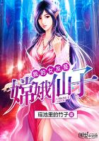 杨门女将十大名器