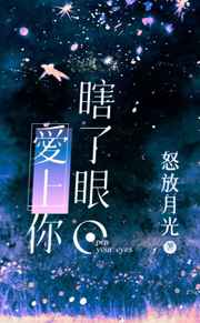龙猫网在线播放免费