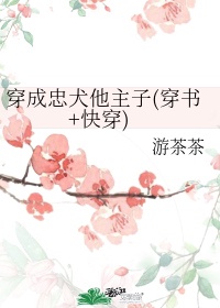 电子书免费阅读全集