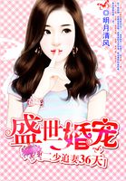 小姐电影国语版免费观看
