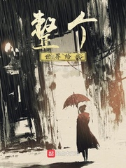 安迷修雷狮开车
