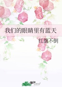 小九生活记