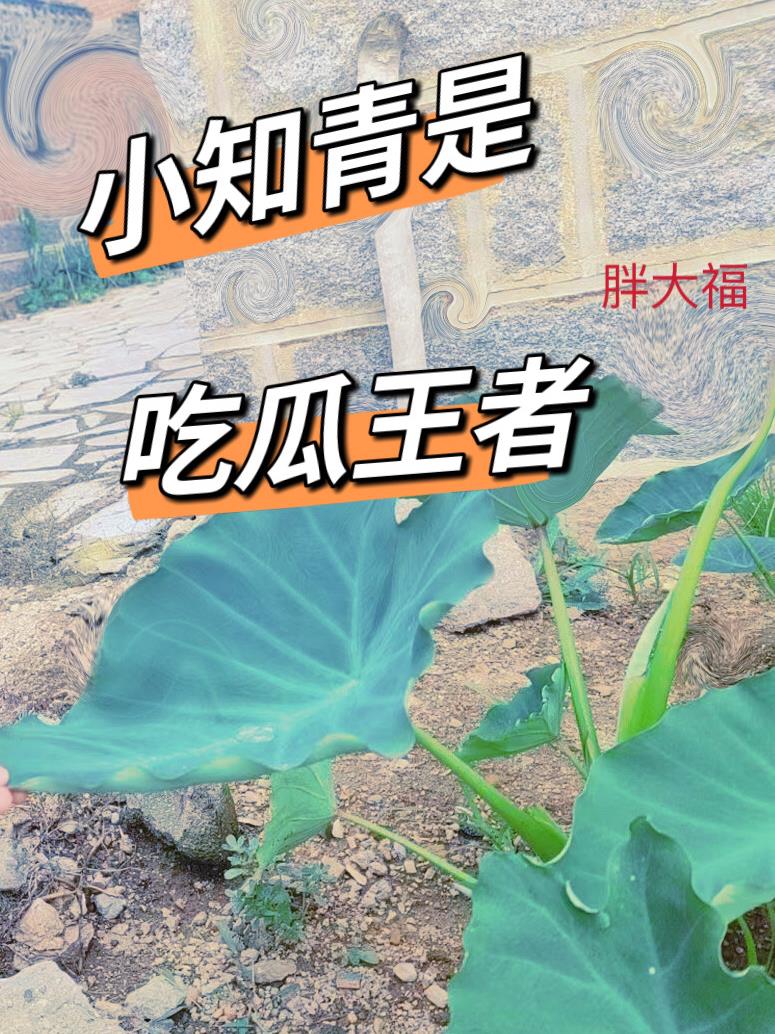少年阿斌全集