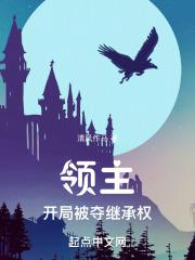 嫂子的工作在线观看