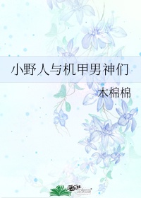 重生之官道TXT