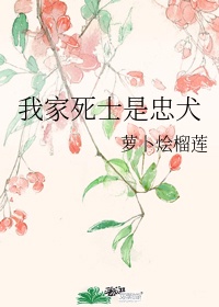电影本能1在线观看完整版免费