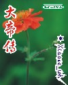 上瘾迅雷下载