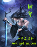 上门女婿叶辰小说
