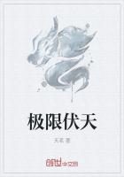 中国推销员完整版免费