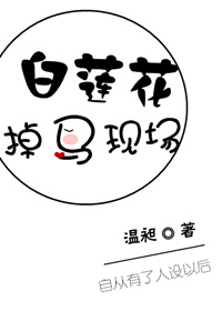 决对争锋