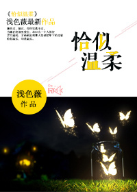 惹婚