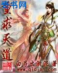 侠岚电影