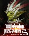 夺金电视剧38集免费观看全集