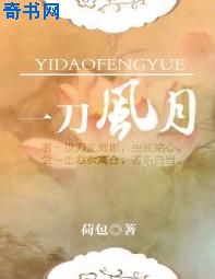 风筝电视剧小说