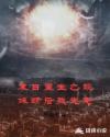 巡夜人日志