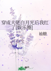凌晨三点在线观看电视