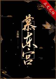 一片冰心在玉壶小说