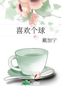 老师h文