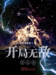 月下蝶影