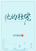 秦雨老旺全文目录166章