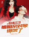 王申白沽高校长在线听书